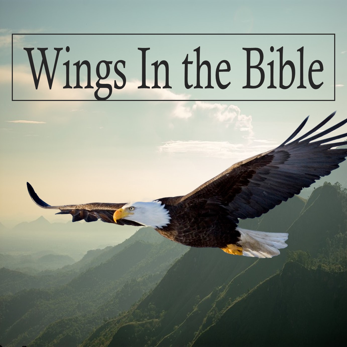 Wings in the Word of God – Part 2 episode artwork