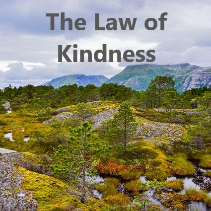 The Law of Kindness episode artwork
