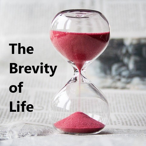 The Brevity of Life episode artwork