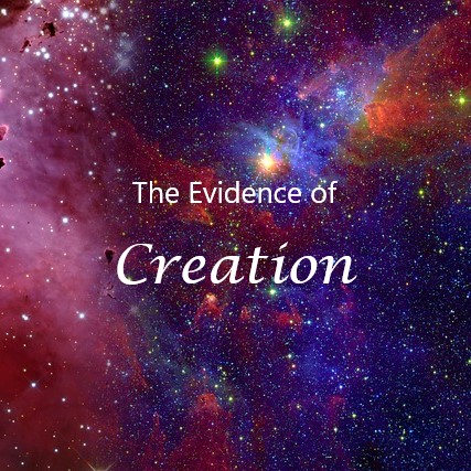 The Evidence of Creation episode artwork