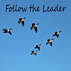 Follow the Leader episode artwork